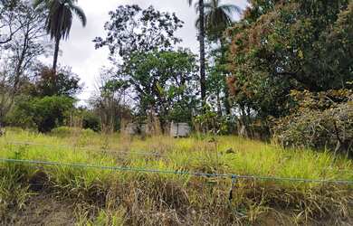 Imagem 5: Terreno de 1.000 m. 2 km asfalto