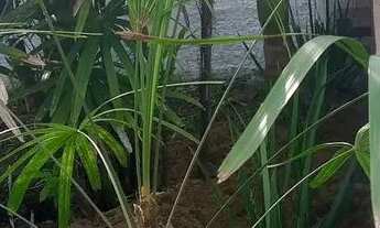 Imagem 3: CASA PROMOÇÃO DIÁRIA C/ PISCINA FiM DE SEMANA!