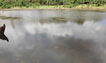 Imagem 6: Terreno Fazenda / sítio com venda por R$200.000
