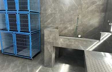 Imagem 6: Pet Shop à Venda - Ponto Comercial Consolidado no Setor Bueno!