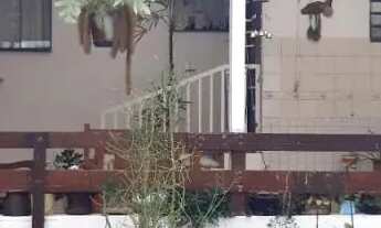 Imagem 3: CASA TÉRREA - PARQUE TAQUARAL - SP