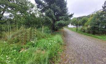 Imagem 5: Terreno Colina Sorriso Caxias do Sul