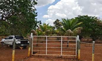 Imagem 5: Chácara 5.000M2 na Região de Glaucilândia