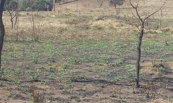 Imagem 2: Área Comercial - Anápolis