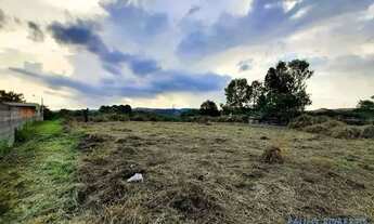 Imagem 5: TERRENO EM CONDOMÍNIO - PARQUE DOM HENRIQUE - SP