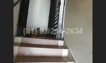 Imagem 4: Geny (I/T Apartamento com 3 dormitórios