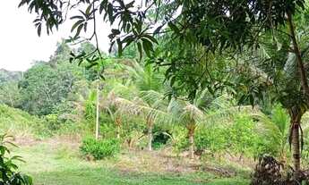 Imagem 2: SÍTIO 200x1000 DOCUMENTAÇÃO ATUALIZADA E COMPLETA