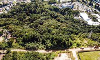 Imagem 2: Terreno no Abranches com 11.659 m²