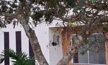 Imagem 6: Chácara disponível para venda, em Coração de Maria