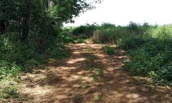 Imagem 4: VENDO CHÁCARA 6 ALQUEIRES ITABERAÍ/GO