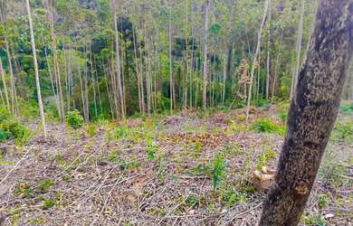 Imagem 3: Terreno em Rio Branco do Sul parcelado