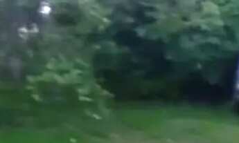 Imagem 6: Casa em barra grande vera cruz