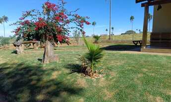 Imagem 7: Chácara 2000 Metros Goianápolis