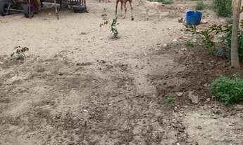 Imagem 2: Vendo terreno 10x20 na Barra Dos Coqueiros