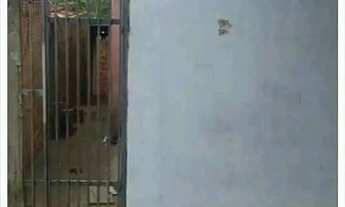 Imagem: Casa germinada