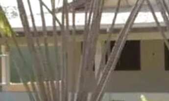 Imagem: Chácara à venda no bairro Chácaras São