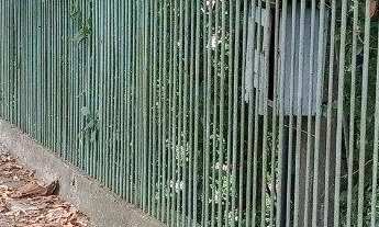 Imagem 2: Terreno Bairro Santa Isabel