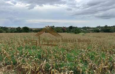 Imagem 5: Sitio com 2 alqueires em Cesário Lange-SP