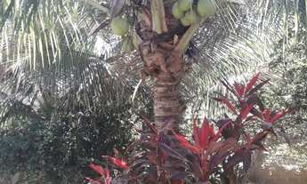 Imagem 2: Aluga se uma casa