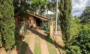 Imagem 3: Sitio com 20.000 pés de café a venda - Hirondelle, Morungaba/SP