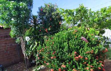 Imagem 4: Vendo esta Casa! Tel/whatsapp: