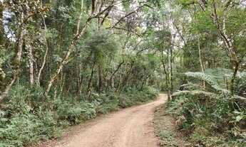 Imagem 4: Chácara com 6,1 alqueires Marmeleiro - Almirante Tamandaré