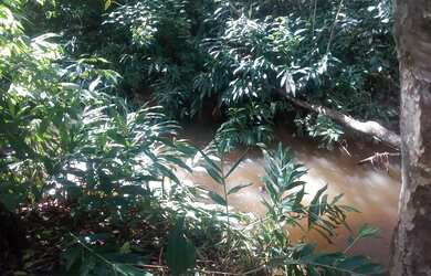 Imagem 3: Chácara em Bonfinópolis