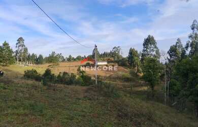 Imagem 5: Chácara em Estrada Pedro Oliveira - Cascatinha - Tijucas do Sul/PR