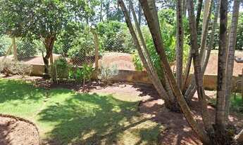 Imagem 7: Sitio com 20.000 pés de café a venda - Hirondelle, Morungaba/SP