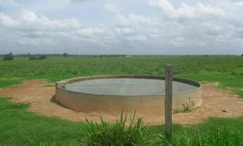 Imagem: 2.647 alqueires, 2.033 alqueires abertos