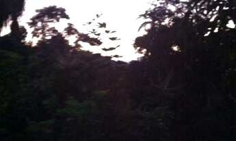 Imagem 4: Gosta de conviver com natureza tranquilidade more em paraty