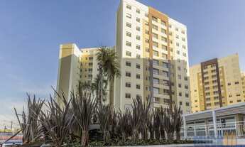 Imagem 4: Canoas - Padrão - Marechal Rondon