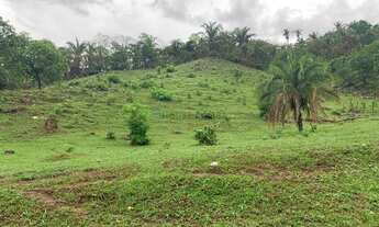Imagem: Fazenda na Agrovila das Palmeiras