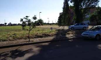 Imagem 6: Toledo - Lote/Terreno - Vila Becker