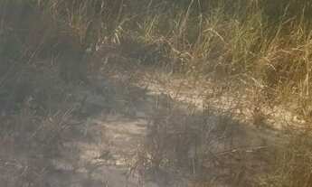 Imagem 2: Terreno em treis Marias