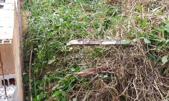 Imagem 5: Terreno Terreno / lote com venda por R$47.000