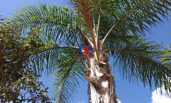 Imagem 5: JABOTICATUBAS - Loteamento/Condomínio - Bosque dos Coqueiros