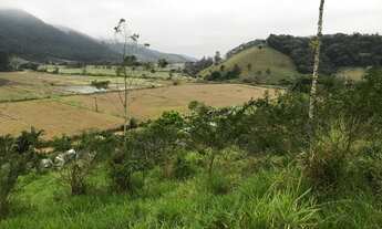 Imagem 4: Barbada! Oportunidade! Terreno rural ótimo preço Camboriu Sc
