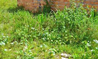 Imagem: Pequena casa