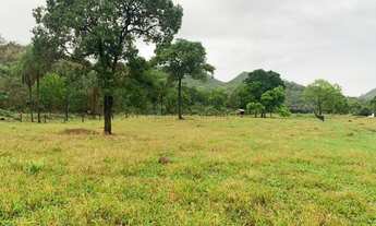 Imagem 4: Fazenda na Agrovila das Palmeiras 630 Hectares