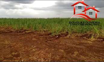 Imagem 4: Sítio 13 Alqueires Região De Igarapava/SP