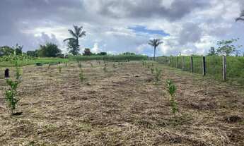 Imagem 5: Propriedade Rural