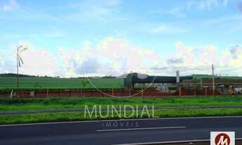 Imagem 6: Terreno (terreno normal