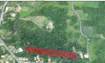 Imagem 3: Excelente área na ferrugem Garopaba SC