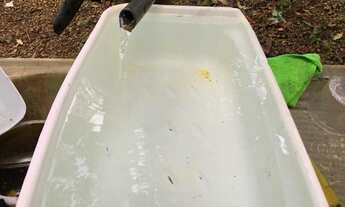 Imagem 6: VENDE-SE CHÁCARA