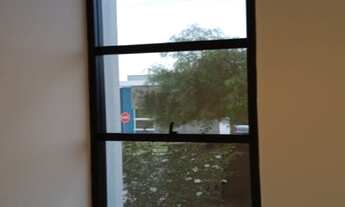 Imagem 2: Vende-se ou Aluga-se residencia em condomínio fechado em Marília