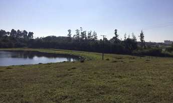 Imagem 7: Fazenda 33 Alqueires, Região de Tatui-Sp