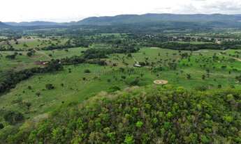 Imagem 12: Fazenda na Agrovila das Palmeiras 630 Hectares