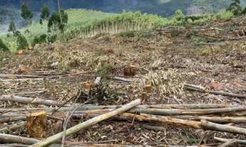 Imagem 3: Venha agora Terreno / lote com venda por R$75.000