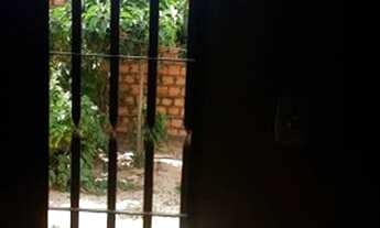 Imagem 2: SAIA DO ALUGUEL Casa com 1 dormitório